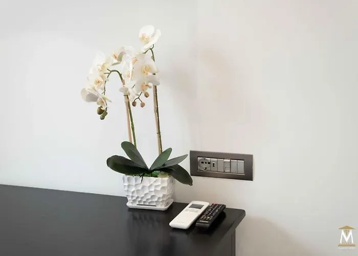 Museum Center Luxury